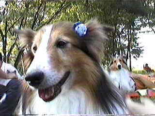 �����ς��������