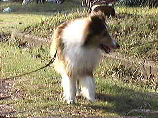 �g�R�g�R�g�R�B�B�B