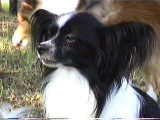 �}�}�ǂ����s����������́B�B�B