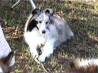 �킽���͖��₵�n���