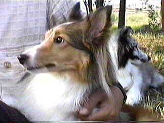 ���͂��������Ă��Â����q���