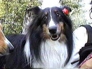 �����[��A���o�����h�R�`�H