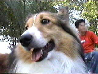 �����̃}�}���I