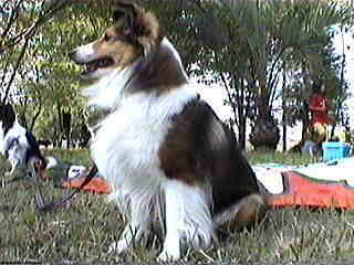 �����̓}�}���񗈂ĂȂ��́B