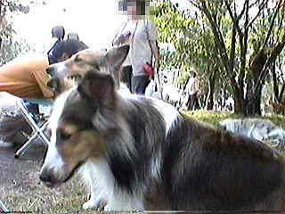 ���̓G���@������