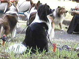 �I�g�R�m�Z�i�J�I