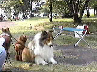 ���肱������B