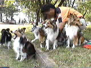 �ӂ��킟�����`��