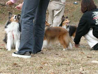 �������B�܂āB