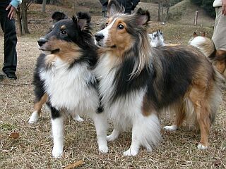 �������������n�܂�́H