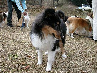 ��񂱁A�����ς��B�B�B