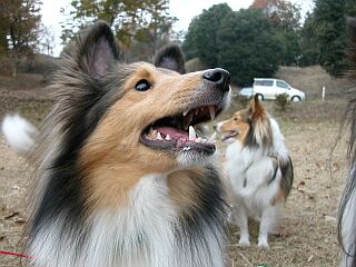 ���ł�OK�I