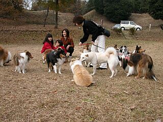 �V�F���e�B���C�H