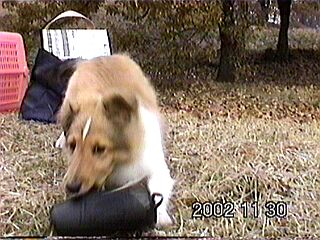 �J�o�����p�N�b�B