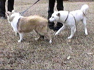 �܂��͂����A�H