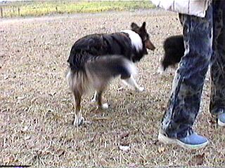 ����͂������V�ڂ��ˁ�