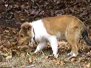 �ǂ�ǂ�B�B�B