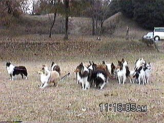 ���������C�ɂȂ�H�I