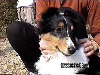 �����}�}���񂿂̃��������B