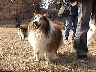 �Ƃ��Ă����C��