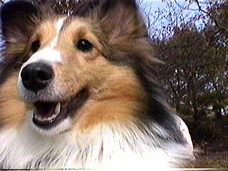 �ǂ����V�C��