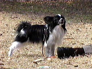 �p�s�����E�E�E�{�N�����B�B�B