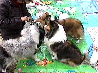 �}�������}�}����܁I