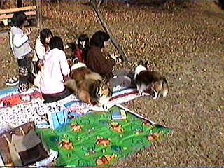 ������܂�B�i�΁j