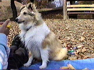 �u�͂��B�v