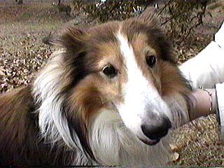 ������҂�x���Ȃ���������B