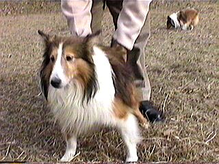 �u�����Ă��`�B�v