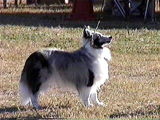 ���܂��Ă�`��