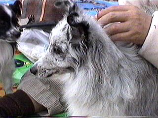 ���l�����