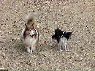 �u�ߍ��ǂ��ł����H�v�u�ڂ��ڂ��ł�ȁI�v