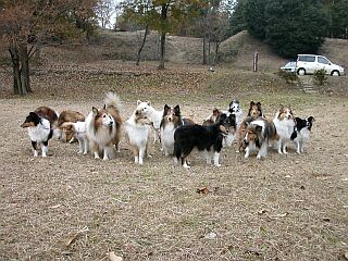 �I�t��I�t��B