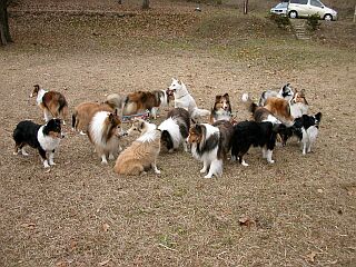 �y�����ȁ�_(^��^)�^