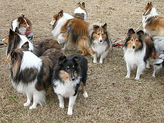 ������ρB(��)