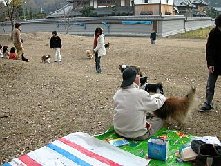 �Ƃ��Ă��L����_����