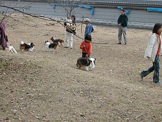 �u������Ƒ������H�v�u�ڂ��ڂ��ł�ȁI�v