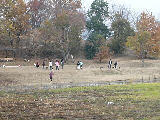 �s���^���Ȃ́B