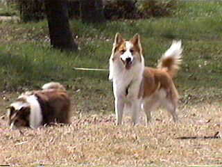 ���߂܂��āB(^o^)�^