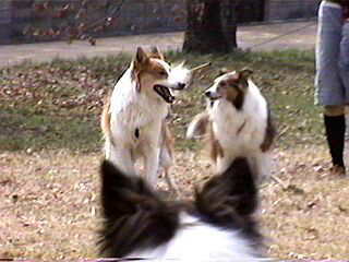 ���ǂ��e�q��_(^��^)�^