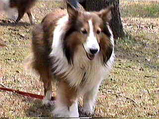 ���o�����ƈꏏ��