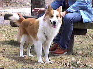 ���q�T��