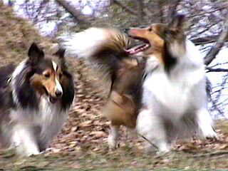 �C�c���E�_�I(��)