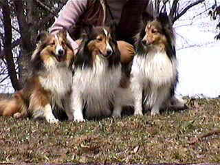 �΂̏�ɂ��H(��)