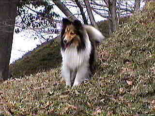 �ꂨ�����Ă�́H