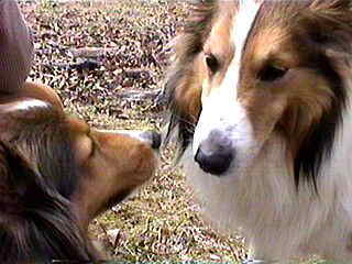 �܂�ł��B�����V�N�ˁ�