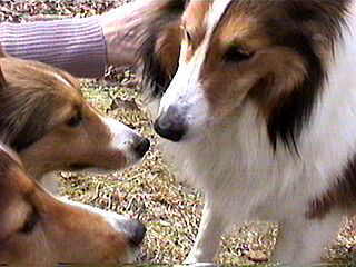 ���킲��B�B�B