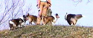 ���R�I�t��